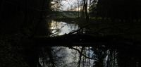 36 mystische stimmung am menach-altwasser bei stegmuehl